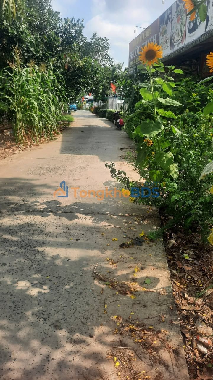 Đất Vườn Nghỉ Dưỡng Cần Thơ 1548m² - Lộ Ô Tô 1.49 Tỷ