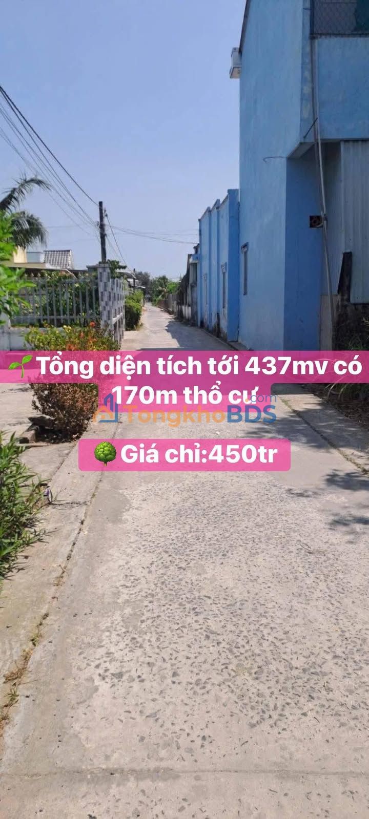 Đất nền 437m² sổ hồng riêng, Tân Tây Gò Công Đông - Giá 450 triệu