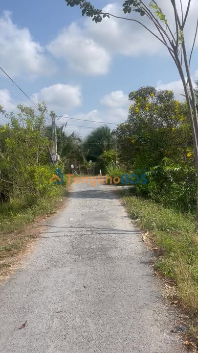 Đất nền 1000m² Tân Thuận Bình, Đồng Tháp - Giá 1.25 Tỷ, Sẵn Sàng Thu Hoạch Mít