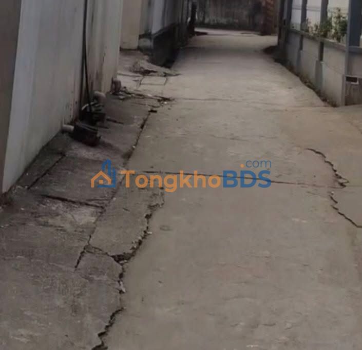 Đất nền Ba Vì 100m² - Mặt tiền 6m nở hậu, ô tô vào đất