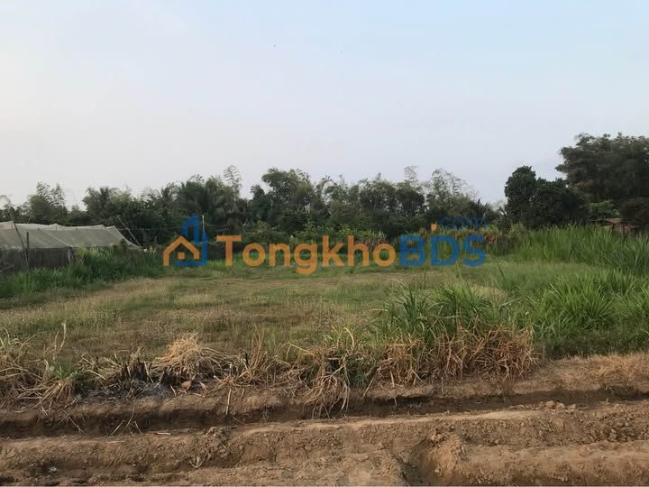 Đất HNK Phước Sơn 700m2 290 triệu - Giá tốt hiếm có