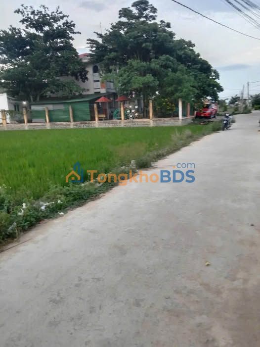 Đất lúa 980m² mặt tiền đường bê tông 28m - Ninh Phước, Ninh Thuận