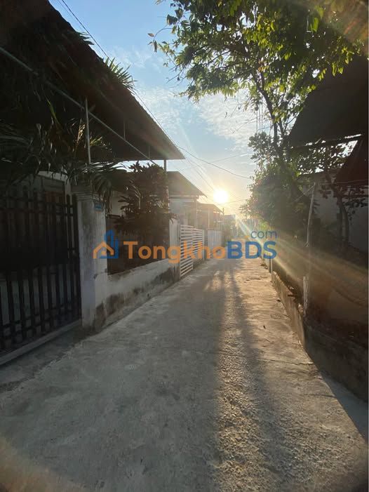 Bán Đất Vườn Ninh Phước 367m² - Sổ Hồng ONT, Giá Tốt