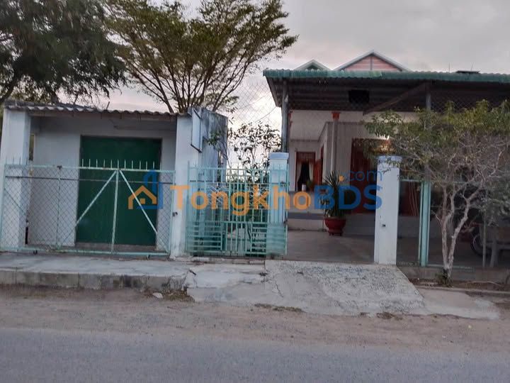 Đất Thổ Cư 145m² Mặt Tiền Đường Nhựa 704 Phan Rang - Giá Tốt