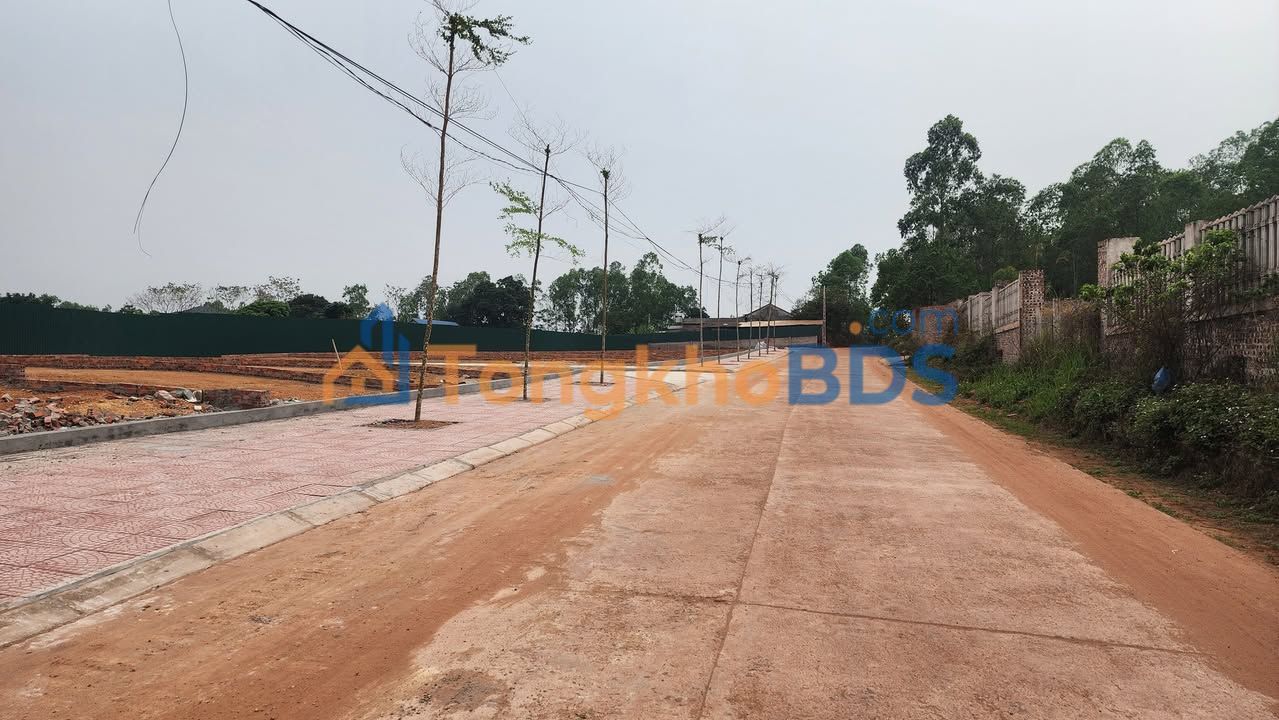 Đất Nền Tam Dương Vĩnh Phúc 100m² - Kinh Doanh, Đầu Tư Sinh Lời