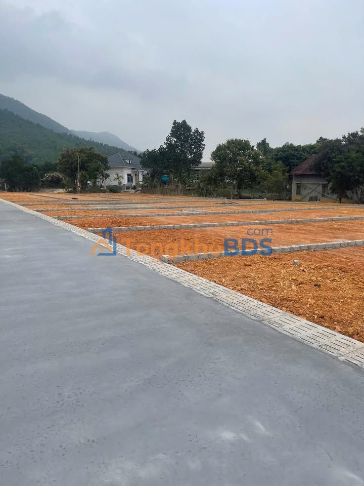 Đất nền Phú Thọ, 100m² mặt Tỉnh lộ 317b, gần hồ Phượng Mao - Giá đầu tư chỉ 6.9 tỷ