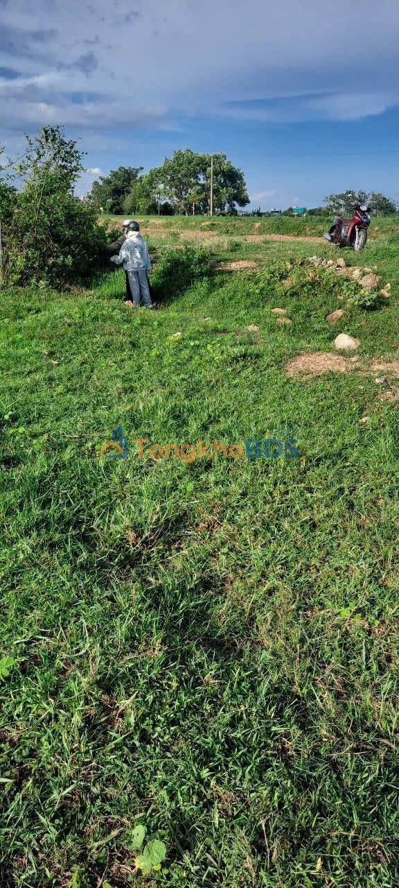 Bán Gấp Đất Vườn 1959.6m² Xã Hàm Chính, Bình Thuận - Giá 1.038 Tỷ