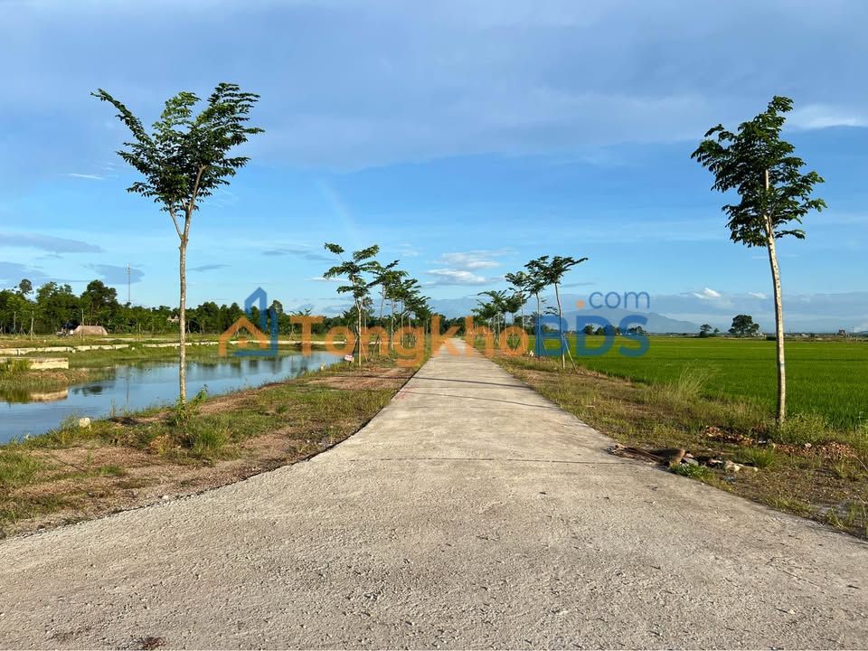 Đất nền Phú Vang Huế 160m² giá 7xx triệu - Sổ đỏ chính chủ