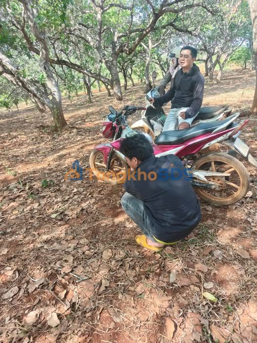 Bán Đất Vườn 3ha Sổ Đỏ Đường Hiển Thị, Bình Phước - Giá Đầu Tư 4 Tỷ