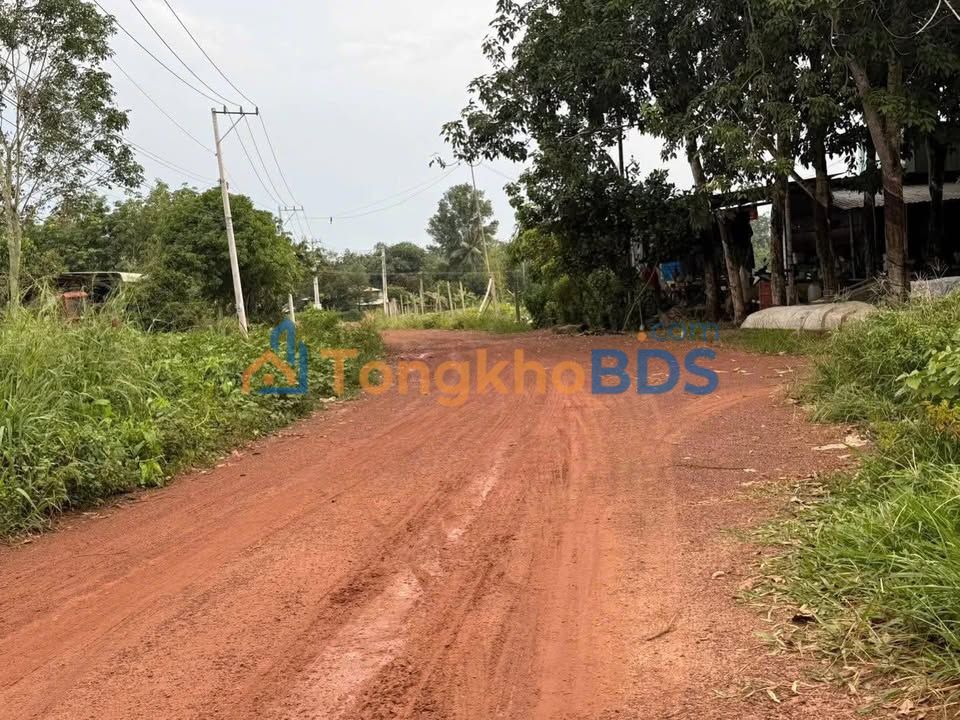 Đất Nền Phú Giáo 260m² - Sổ Hồng Sẵn Sàng, Giá 4xx Triệu