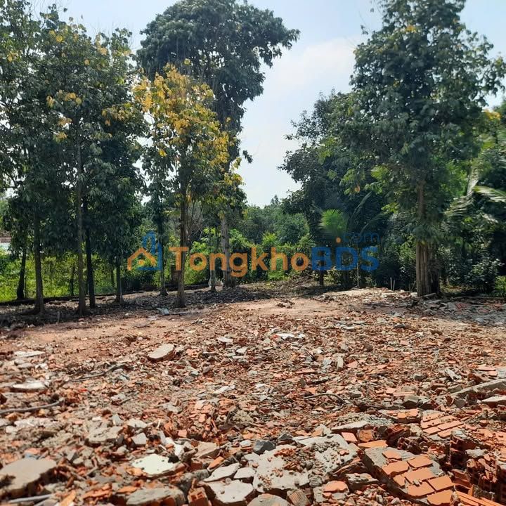 Đất Vườn 1600m² Thuận An - Giá Rẻ Hơn Đền Bù, Tiềm Năng Sinh Lời Cao