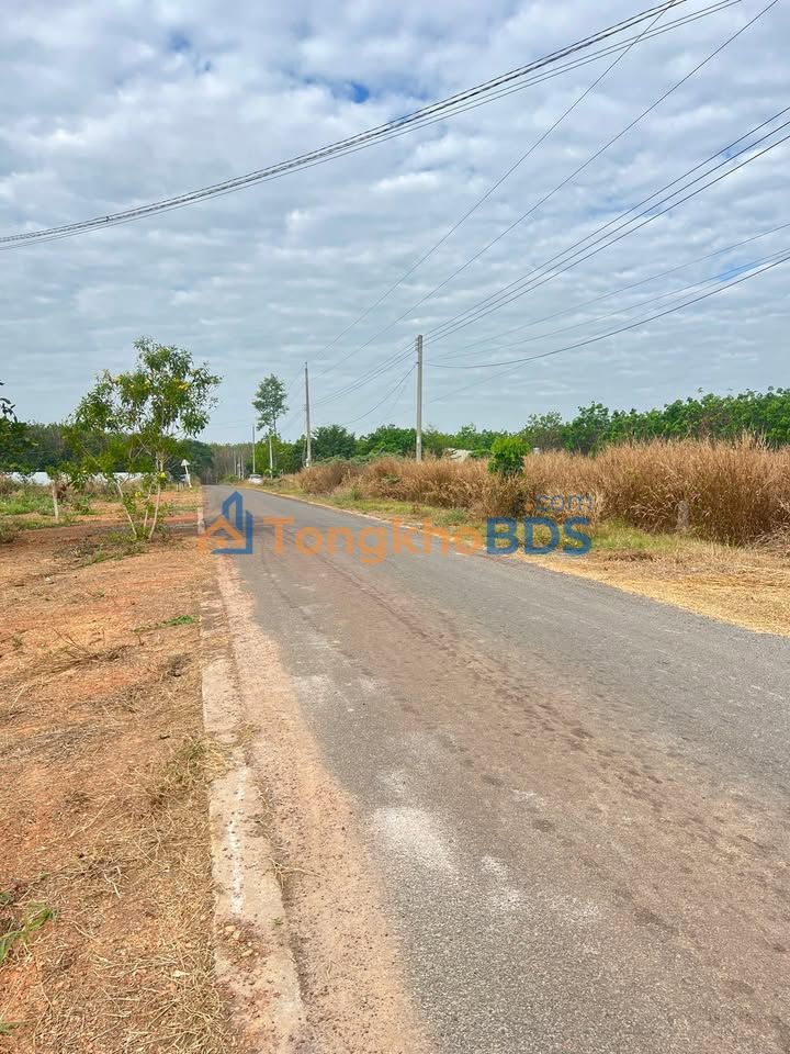 Đất Nền Dầu Tiếng 223m² - Sổ Đỏ Chính Chủ, Giá Đầu Tư 5xx Triệu