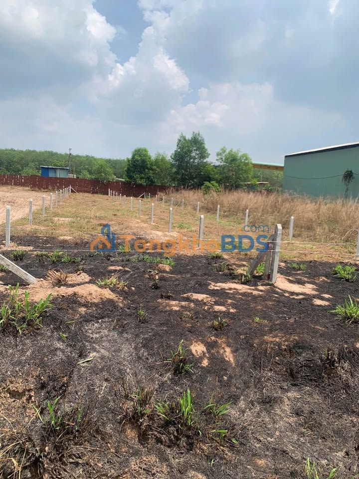 Đất Nền Minh Hưng Chơn Thành 230m² Sổ Sẵn - Giá 650 Triệu