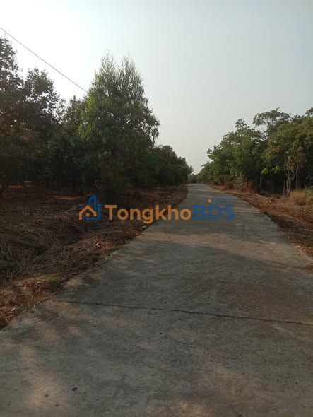 Đất nền Thống Nhất Bù Đăng 1,4ha giá 2,4 tỷ - Hạ tầng hoàn thiện