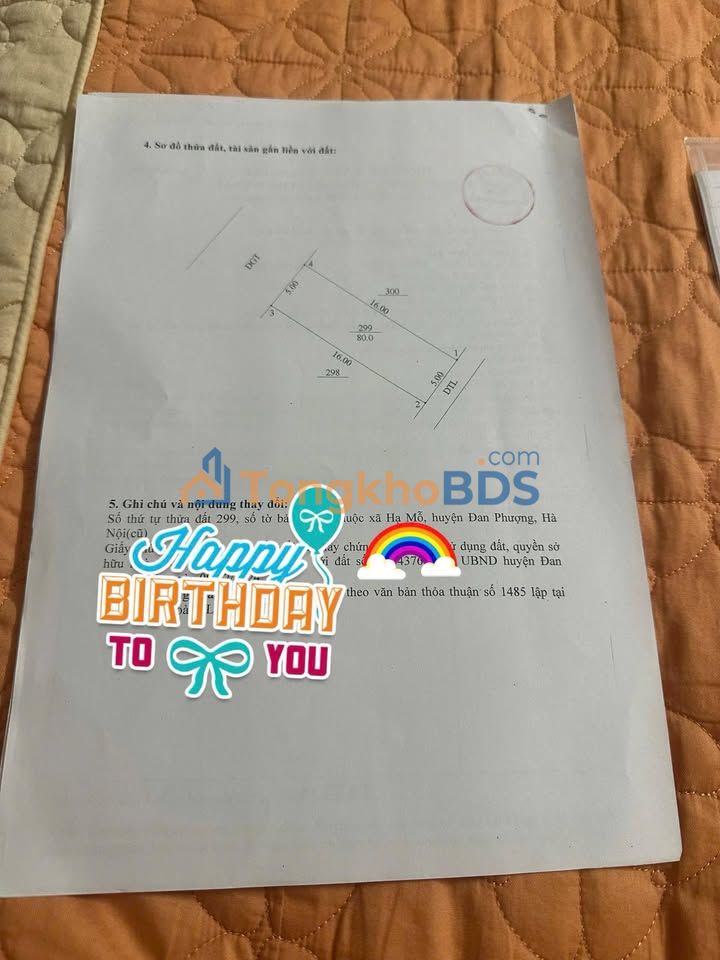 Đất đấu giá 80m² Hạ Mỗ, Đan Phượng - Sổ đỏ, Sẵn sàng xây nhà