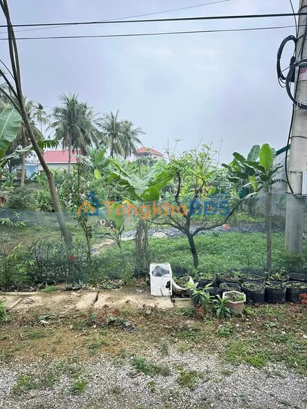 Đất nền Tân Phúc Nông Cống 150m² 700tr – Sổ đỏ chính chủ