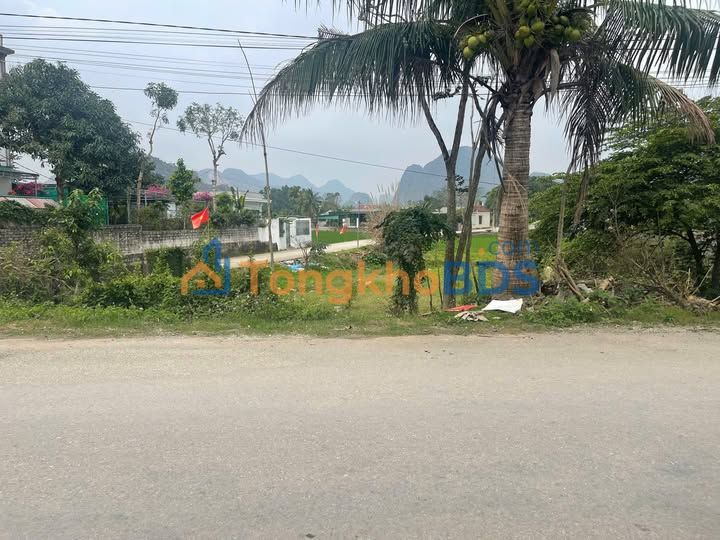 Đất Nền Mặt Tiền QL45 Nông Cống 210m² - Kinh Doanh Đắc Lợi