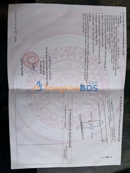 Đất đấu giá 120m² sổ đỏ thổ cư tại Mỹ Đức, Hà Nội - Cơ hội đầu tư sinh lời