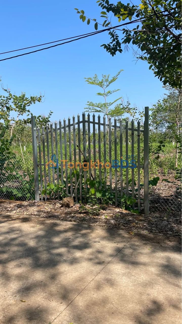 Đất Vườn Đồng Nai 2700m² - Sổ Hồng Sẵn Sàng, Giá Đầu Tư 1.05 Tỷ