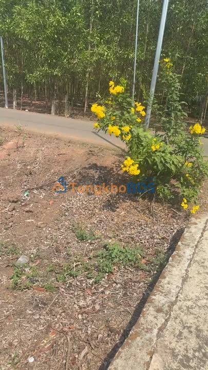 Đất nền An Viễn Trảng Bom 135m² 930tr - Sổ hồng chính chủ