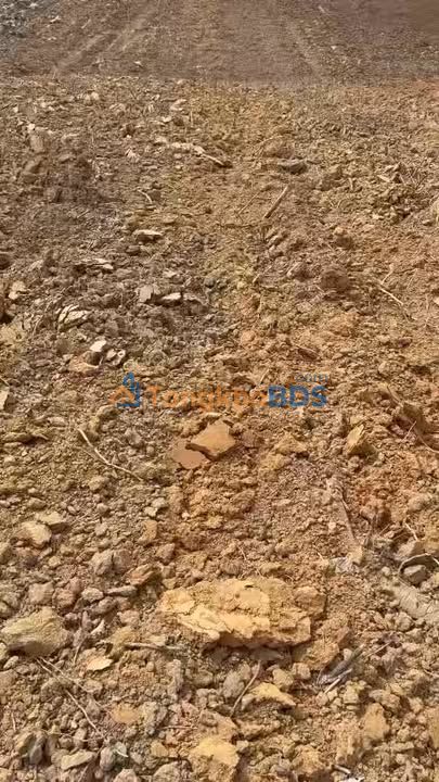 Đất Nông Nghiệp 6ha Ea Kiết, Đắk Lắk - Giá Tốt Đầu Tư