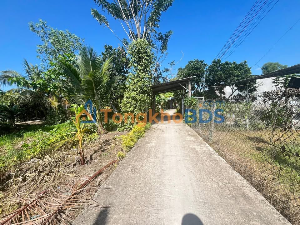 Đất Vườn 537m² Cần Thơ - Sổ Hồng Sẵn Sàng, Giá 650 Triệu