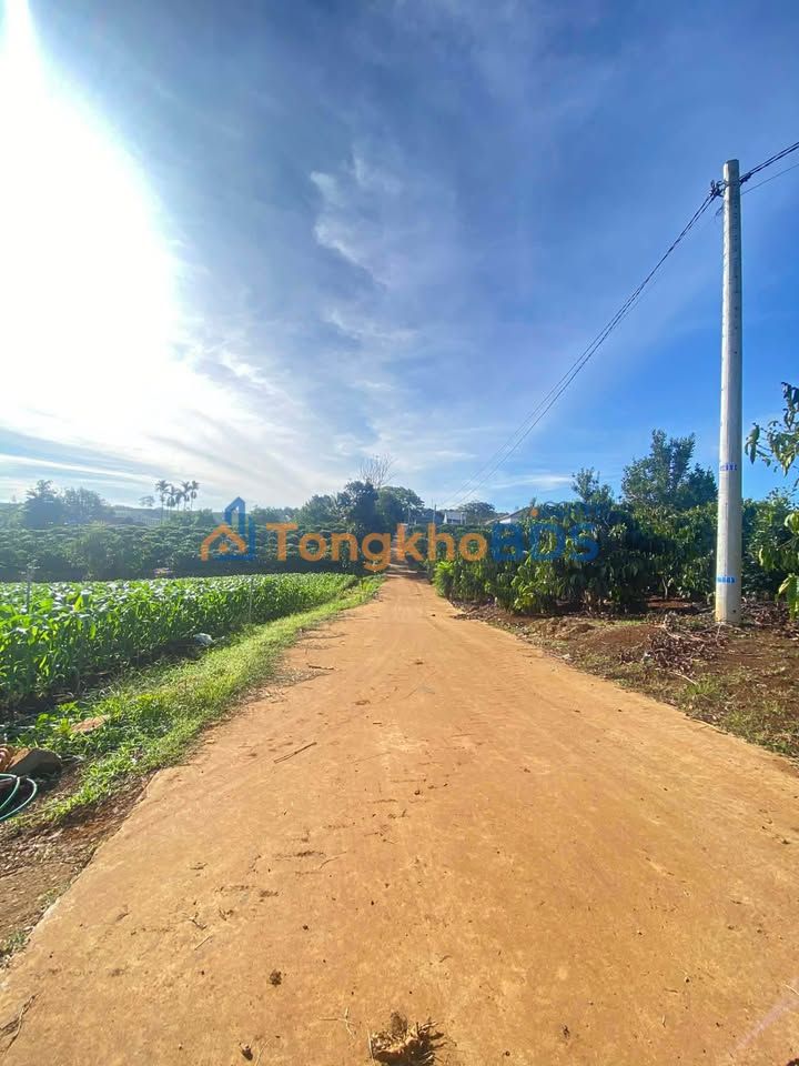 Đất 1.5 sào Tân Hà, Lâm Hà - 2 Mặt Tiền, Full Thổ Cư, Giá 1.2 Tỷ