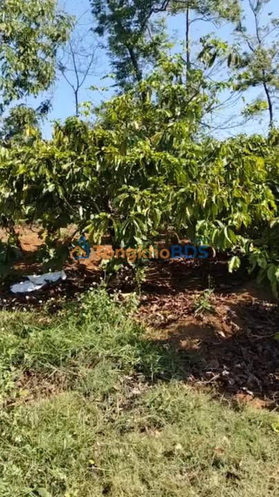 Đất Nền 720m² Xã Canh Thuận, Vân Canh - Sổ Đỏ Sẵn Sàng, Giá Đầu Tư 650 Triệu