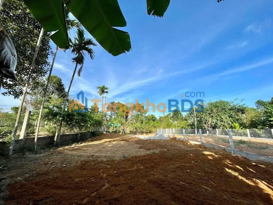 Bán Đất Trà Lang, Phú Ninh 284m² - Sổ Đỏ Thổ Cư, Giá Tốt