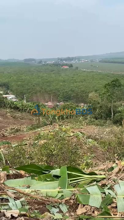 Đất vườn Long Khánh 7.000m² 4,9 tỷ - Nghỉ dưỡng lý tưởng