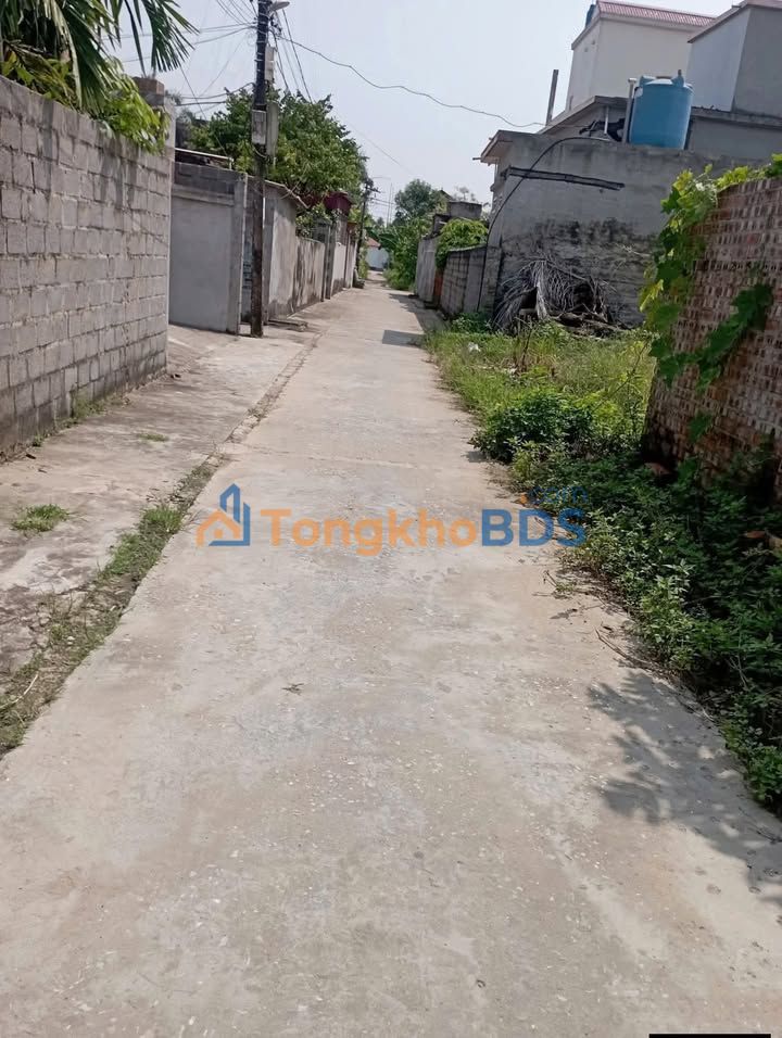 Bán đất thổ cư 140m² Thụy Anh, Thái Thụy - Sổ hồng sẵn, ô tô thông