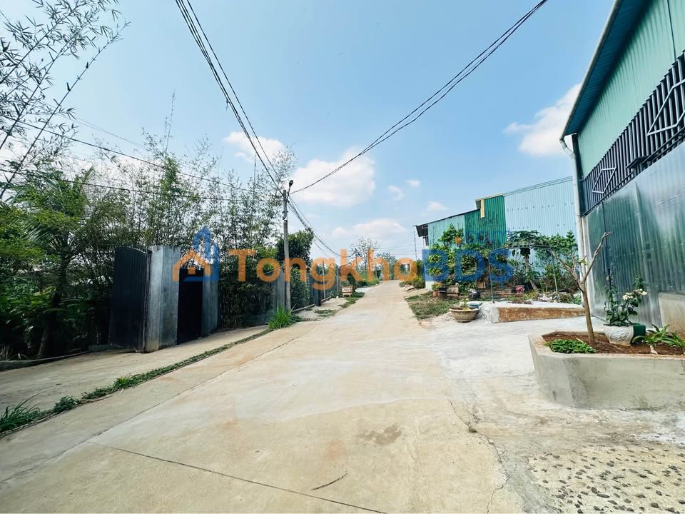 Đất Hẻm Đinh Công Tráng, Quận 1 - 225m² Nở Hậu Tài Lộc, Giá 9 Tỷ