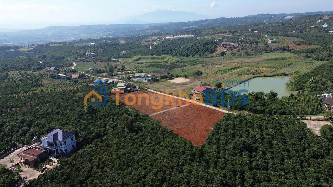 Đất Nền 272m² Lâm Hà, Lâm Đồng - Sổ Hồng Sẵn, Giá 495 Triệu