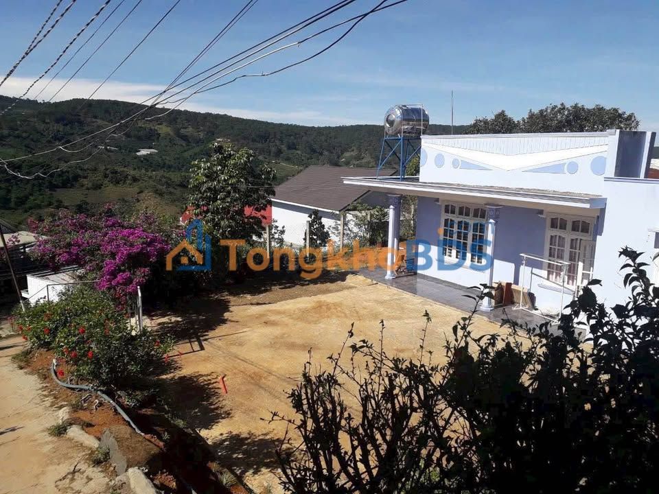 Bán đất biệt thự Đà Lạt 373m² tặng nhà cấp 4, view rừng thông