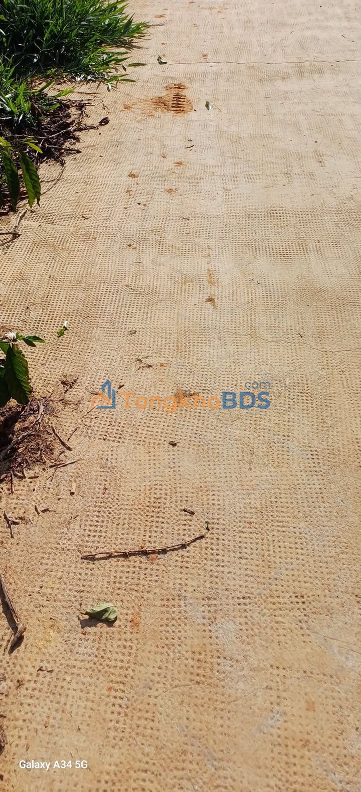 Đất Vàng Bảo Lâm 400m² Mặt Đường Bê Tông - Sổ Hồng Sẵn Sàng