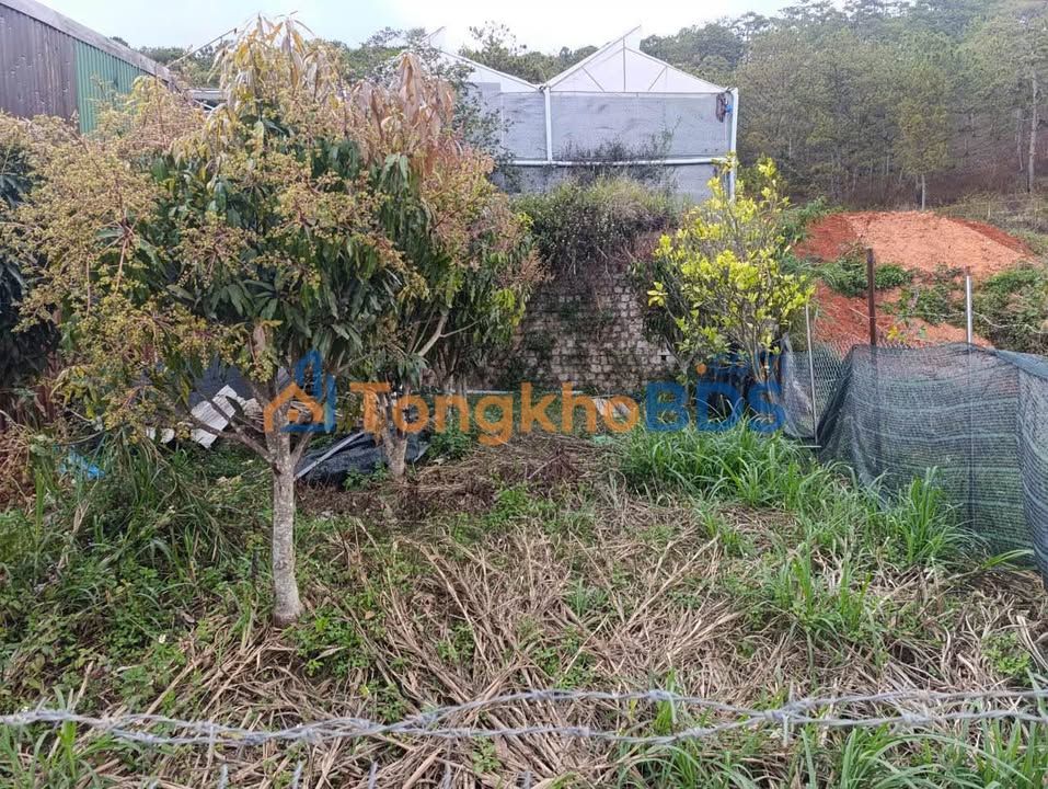 Đất Nền Đà Lạt 65m² - Giá 650 Triệu - View Thoáng, Sẵn Sàng Xây Dựng