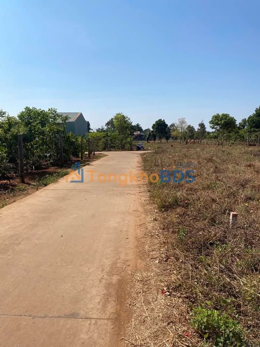 Bán 2 Lô Đất Thổ Cư 154m² Mặt Tiền Trường Sơn, Gia Lai - Giá Tốt