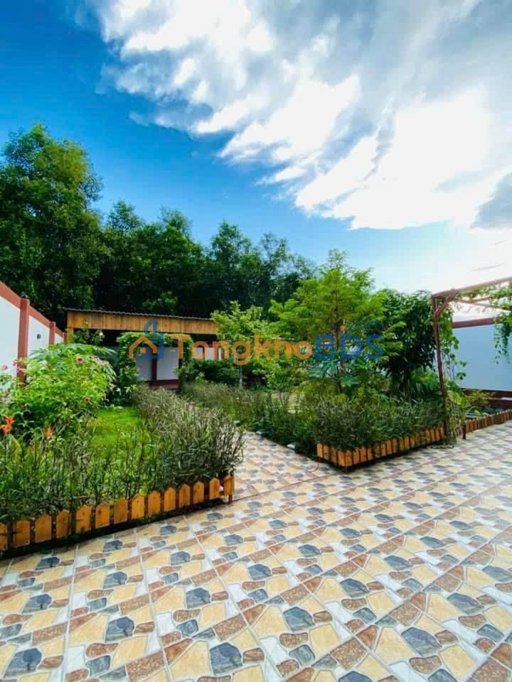 Nhà Vườn Phước Hội 513m² - Sổ Đỏ Toàn Đất Ở, Gần Biển Phước Hải