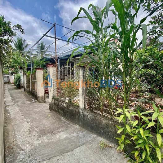 Nhà Vườn 343m² Phường 7 Bến Tre - 1.7 Tỷ Tl (Gần Vòng Xoay)