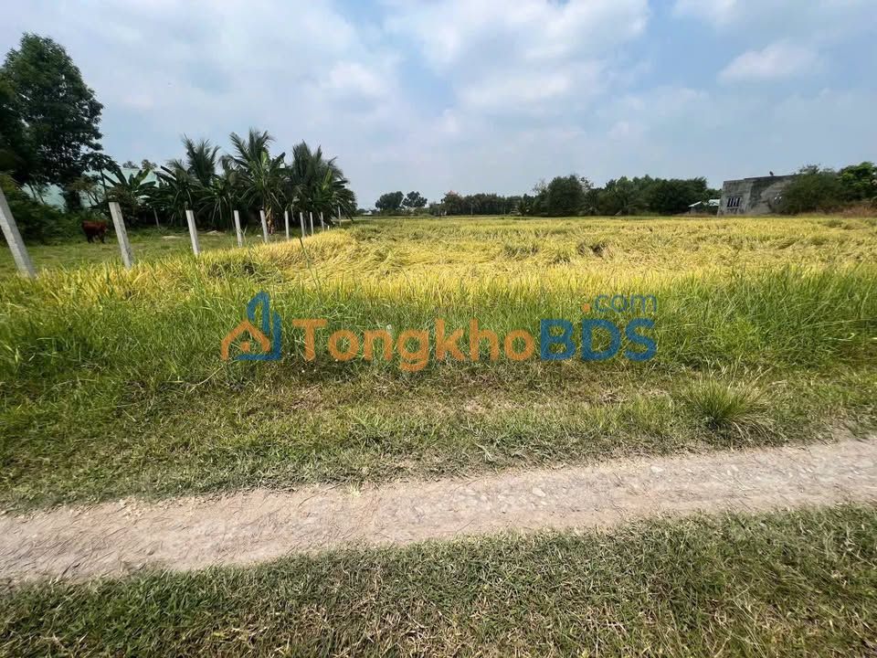 Bán Đất Nền Đức Hòa Long An 900m² - Sổ Hồng Riêng, Sẵn Sàng Thổ Cư