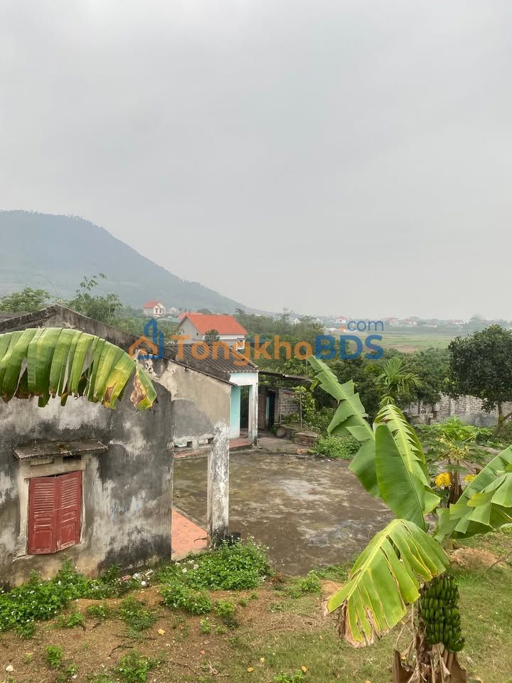 Bán đất 1720m² tại Chí Linh, Hải Dương - Sổ đỏ sẵn, đường ô tô