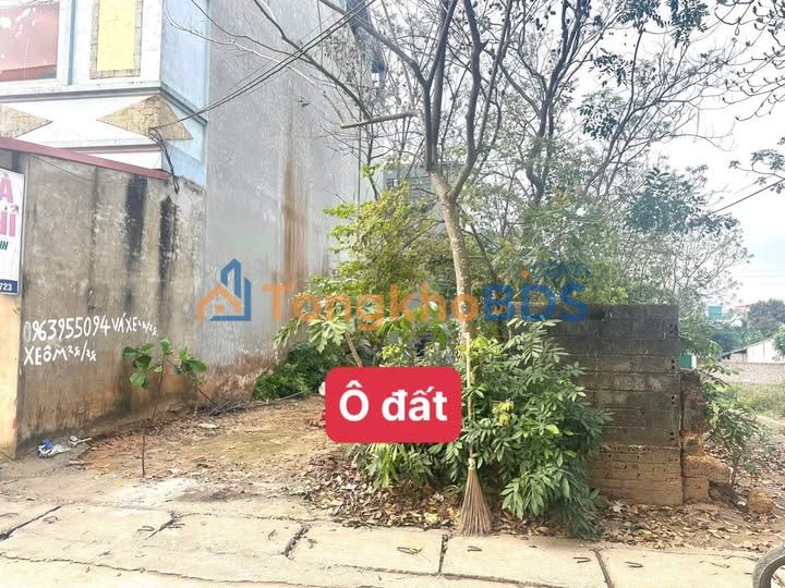 Bán đất Tam Lộng Vĩnh Phúc 89m² - Sổ đỏ thổ cư, gần KCN