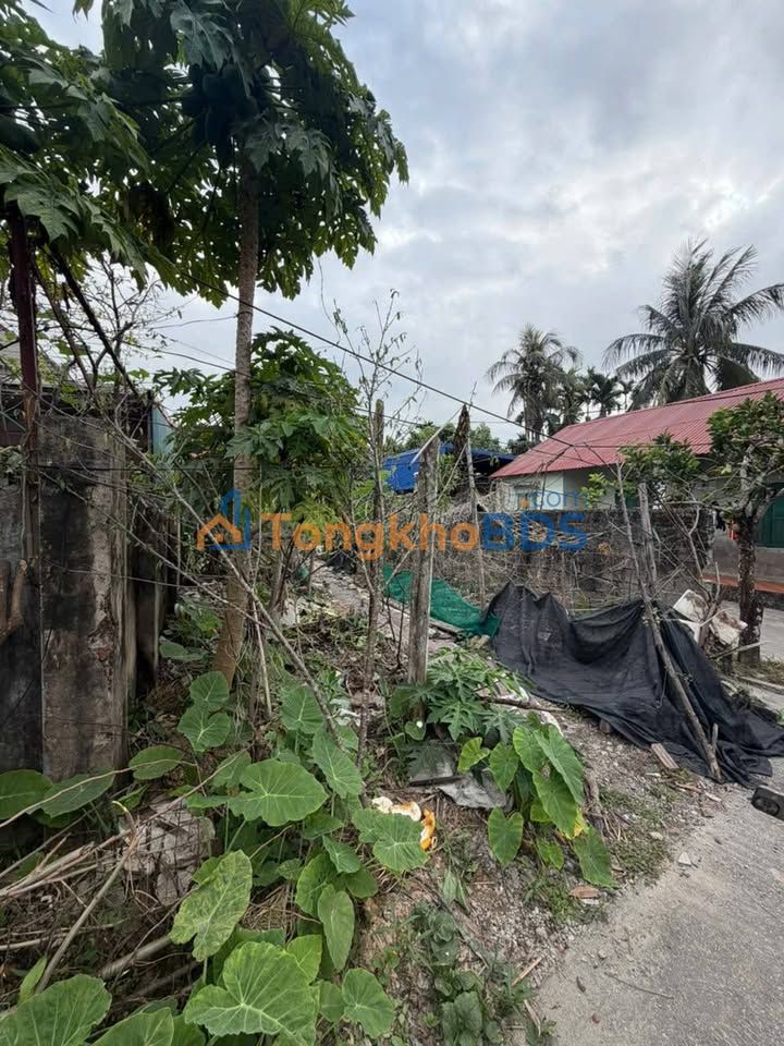 Đất nền 98.8m² Ngõ 21 Nam Hòa, Kiến An - Sổ đỏ sẵn sàng giao dịch