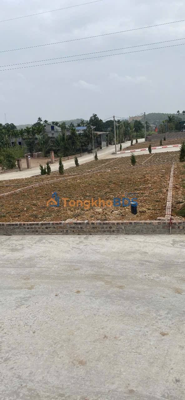 Đất nền Phú Thọ 100.3m² - Sổ đỏ sẵn, giá 620 triệu - Vị trí đắc địa