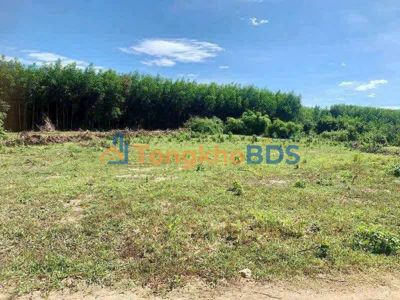 Đất Vườn Nghỉ Dưỡng Ninh Hòa 9047m² - Sổ Đỏ Rõ Ràng, Giá Đầu Tư Tốt