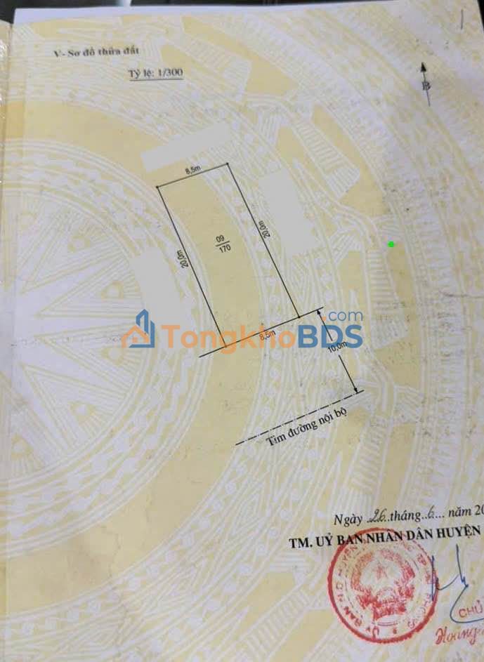 Đất nền An Đồng 170m² - Sẵn sàng xây Villa, đầu tư sinh lời