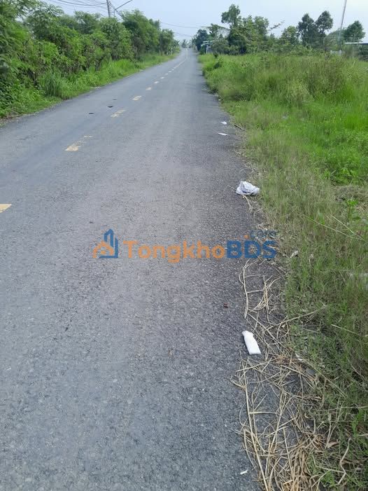 Đất HL99E Gò Công 280m² 1,3 tỷ - Tiềm năng tăng giá