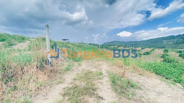 Đất Vườn 3700m² Ninh Gia, Đức Trọng - Sổ Hồng Sẵn Sàng