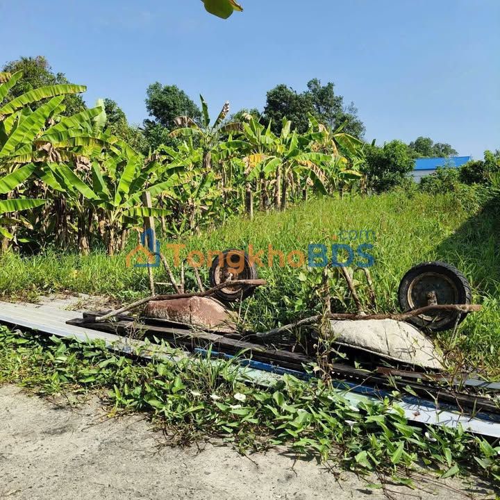 Đất Thổ Cư 115m² Lạc Tấn, Tân Trụ - Giá 299 Triệu, Xe Hơi Tới Đất