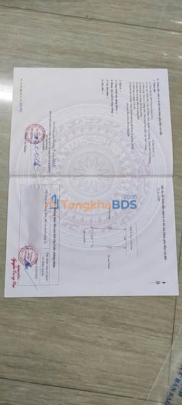 Đất nền 56.6m² Đào Yêu, An Dương, Hải Phòng - Ngõ ô tô, giá chỉ 9xx triệu